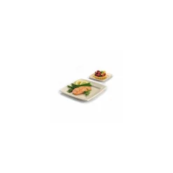 Assiette carrée bio 26 cm en bagasse - par 40
