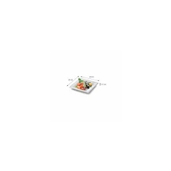 Assiette carrée eco-line en pulpe de canne 20 x 20 cm - par 50