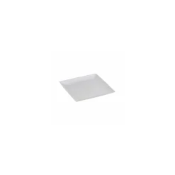 Assiette carrée en bagasse 18 x 18 cm - par 50
