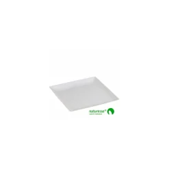 Assiette carrée en bagasse 18 x 18 cm - par 50