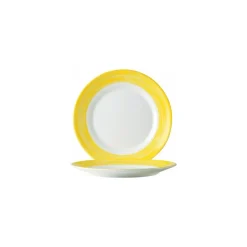 Assiette plate brush jaune ø 23,5 cm - par 24