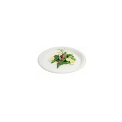 Assiette ronde bagasse ø 26 cm - par 50