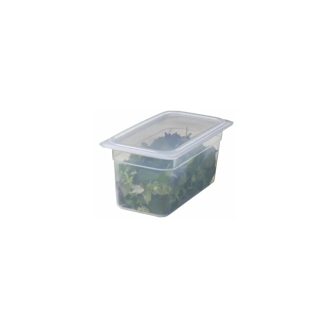 Bac polypropylène GN 1/3 profondeur 15 cm