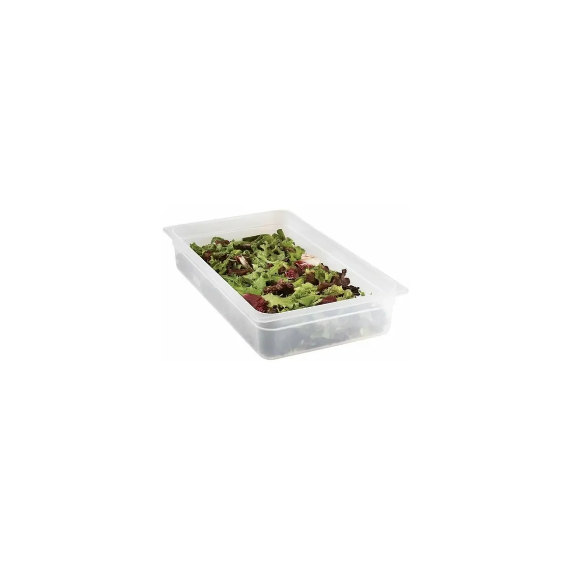 Bac polypropylène GN 1/1 profondeur 10 cm