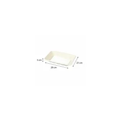 Barquette bagasse avec buvard 29 x 21 x 3 cm - par 150