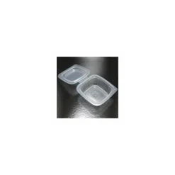 Barquette plastique avec couvercle Ondipack 250 ml - par 900