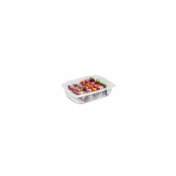 Barquette plastique pour 6 brochettes Ondipack 1500 ml - par 20