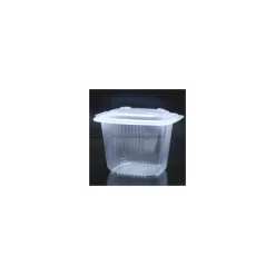 Barquette plastique transparente avec couvercle Ondipack 750 ml - par 50