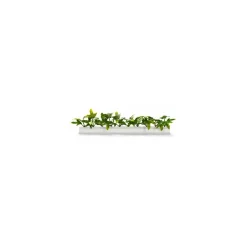 Barrette blanche lierre vert 25 cm - par 12