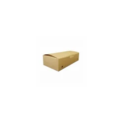 Boîte refermable kraft brun ingraissable 20 x 10 x 5 cm - par 375