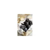 Brisures de truffe noire Tuber melanosporum - par 100 g
