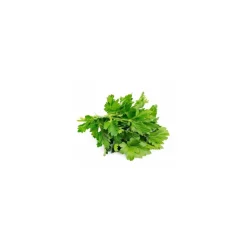Cerfeuil entier - par 1 kg