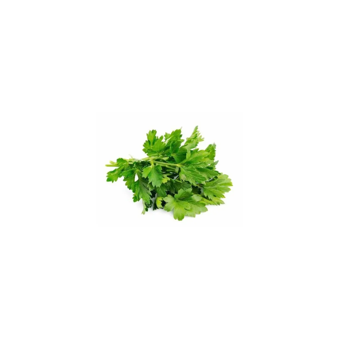 Cerfeuil entier - par 1 kg