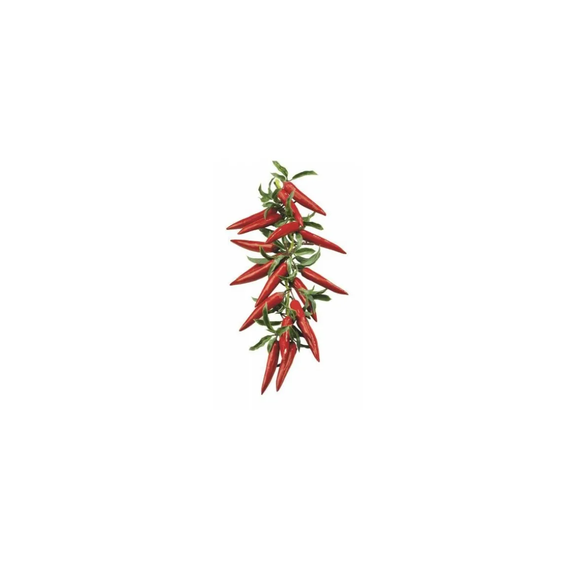 Chapelet de piments rouges 57 cm