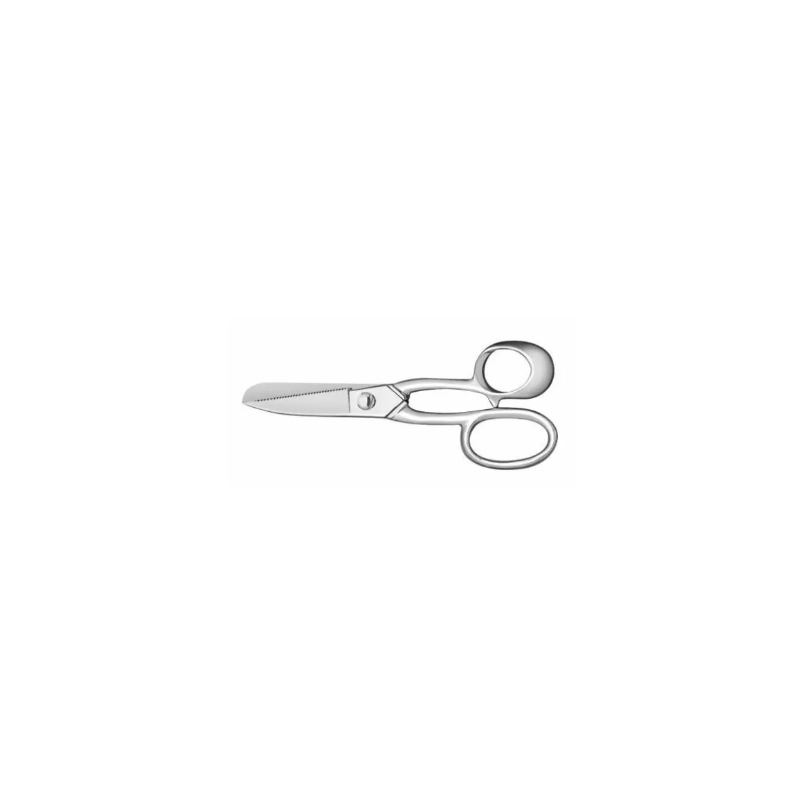 Ciseaux à poisson inox Fischer 22 cm