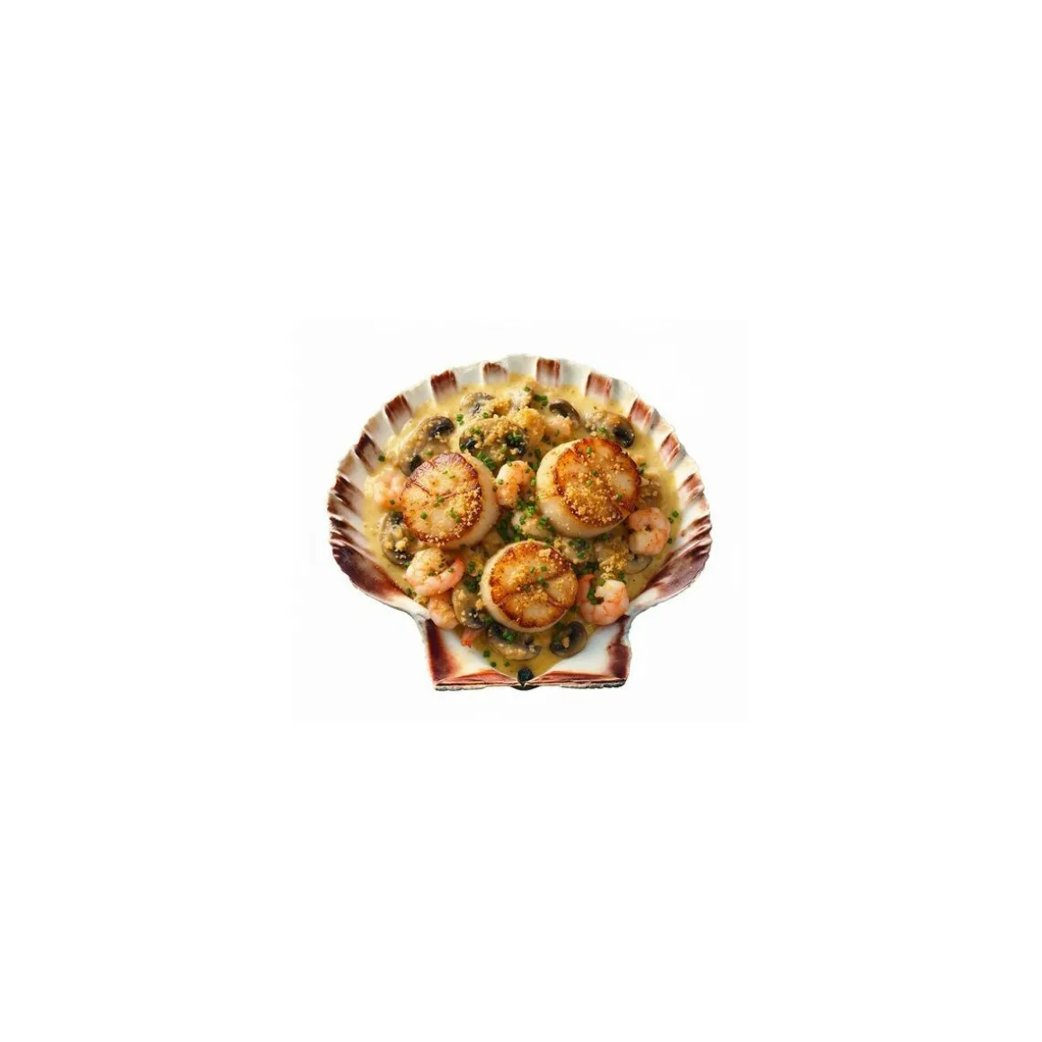 Coquille Saint Jacques naturelle 11+ cm - par 300