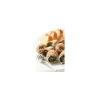 Coquilles Vides d'Escargot - par 48