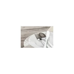 Couteau de table inox Havane - par 12