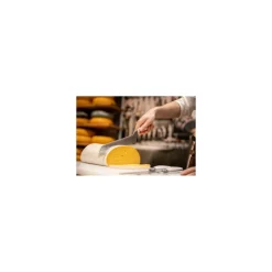 Couteau à fromage pâte mi-dure blanc 21 cm
