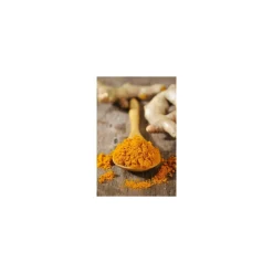 Curcuma pulvérisé - par 5 kg