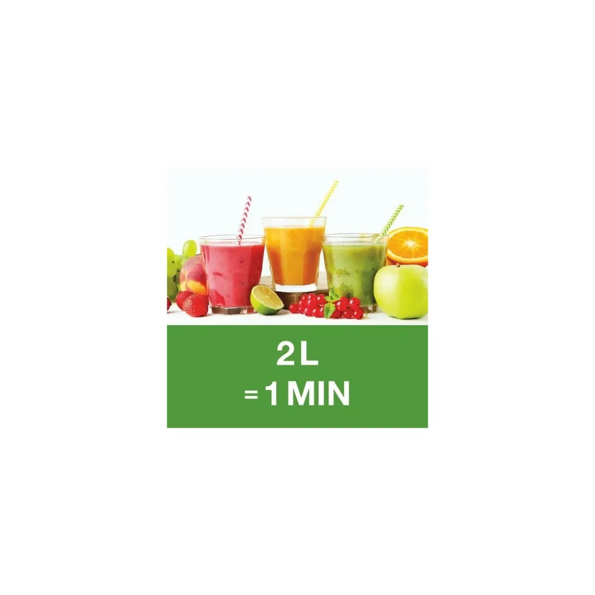 Extracteur de jus J 80 230V monophasé