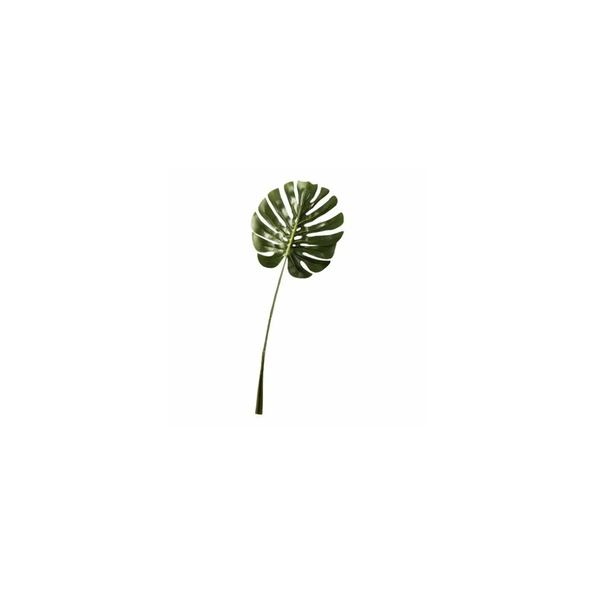 Feuille de philo 77 cm