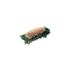 Filet élastique charcuterie coton double trame 24 mailles 100 m