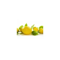Guirlande citron 190 cm
