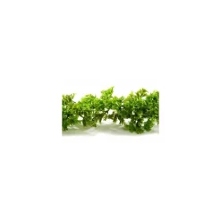 Guirlande persil frisé 270 cm