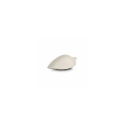 Mini feuille bagasse 90 x 61 x 13 mm - par 50