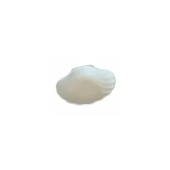 Plat coquille St Jacques céramique non émaillée 175 cl - par 6