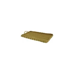 Plateau à fromage polypropylène rectangulaire 46 x 25,5 cm