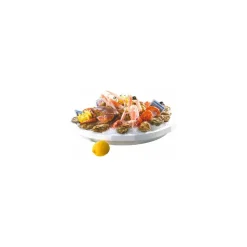 Plateau fruits de mer ovale 50 x 35 cm - par 30