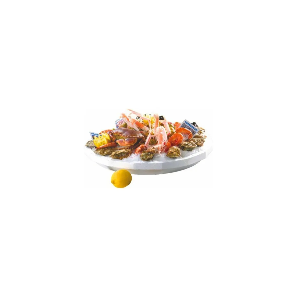 Plateau fruits de mer ovale 50 x 35 cm - par 30