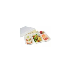 Plateau repas bagasse 5 compartiments - par 50