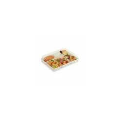Plateau repas 5 compartiments PLA 29 x 22,4 x 3 cm - par 50