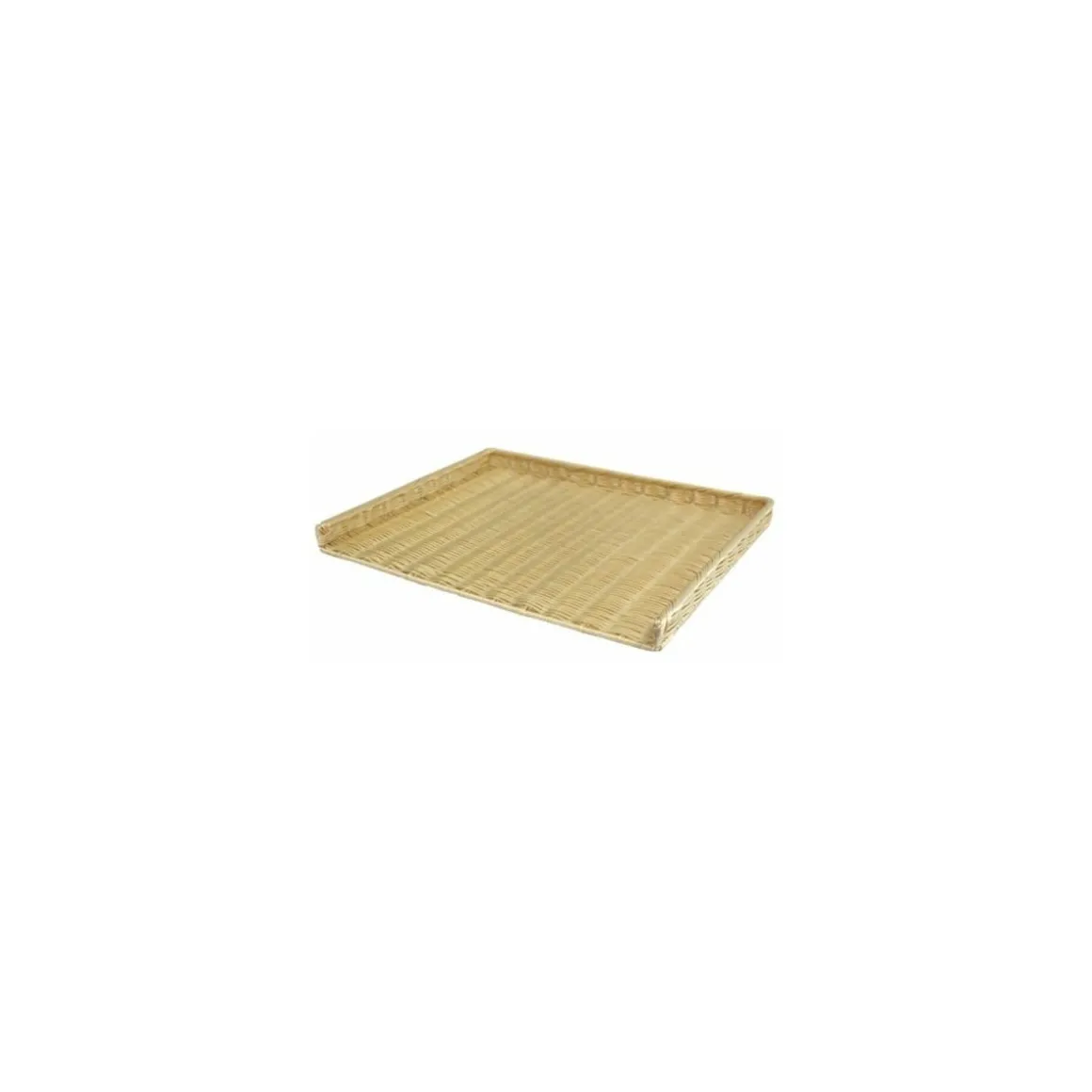 Plateau Tableta PP62,5 x 49 x 4,5 cm