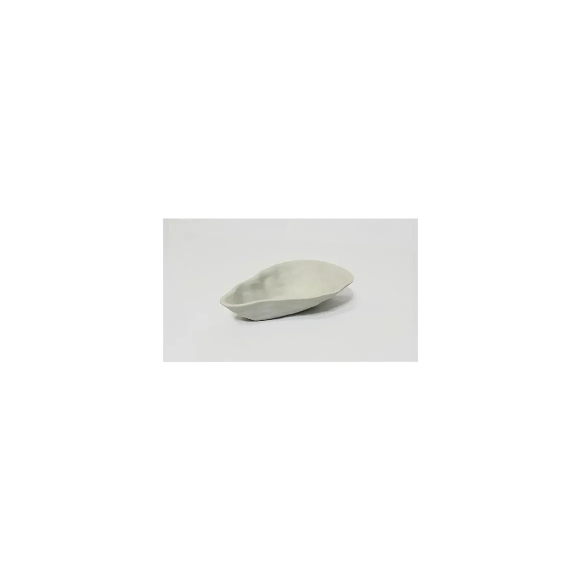 Plat huître céramique non émaillé 60 cl - par 20
