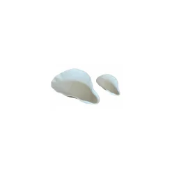 Plat huître céramique non émaillé 60 cl - par 20