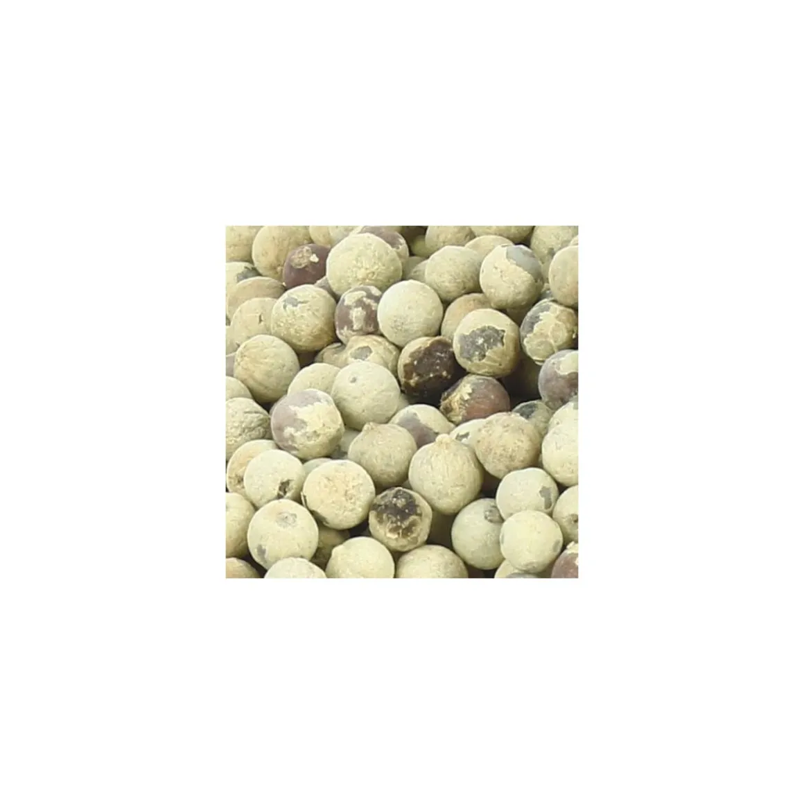 Poivre blanc entier - par 1 kg