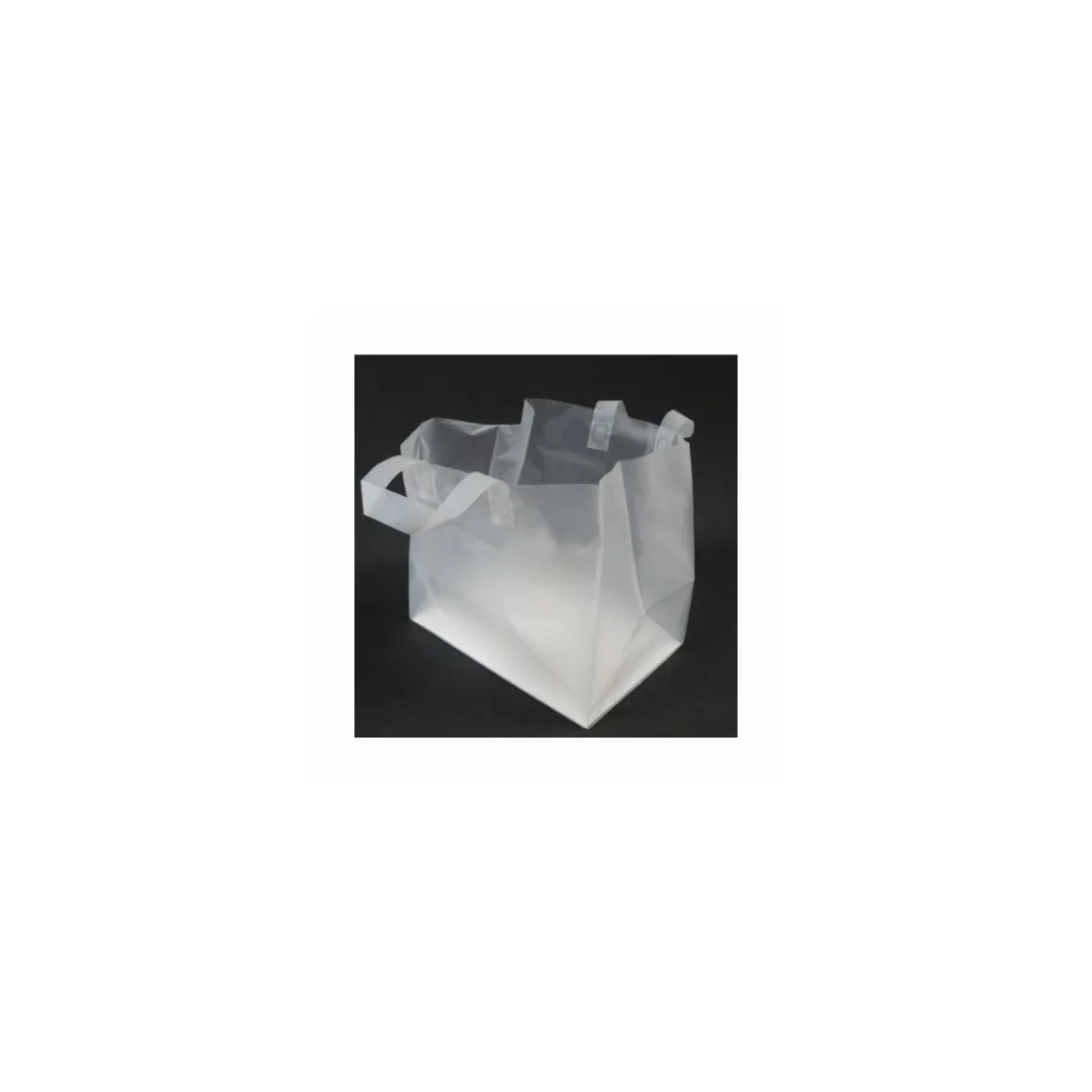 Sac cabas traiteur plastique avec renfort de fond 22 x 21 x 28 cm - par 25
