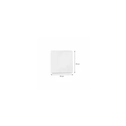 Sac papier blanc 240 x 240 mm - par 500