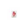 Sac sous vide de conservation 90 µ 25 x 30 cm - par 100