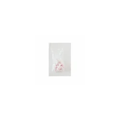 Sacs plastique PEBD 35 cl 50 µ - 17 x 8 + 2 cm - par 500