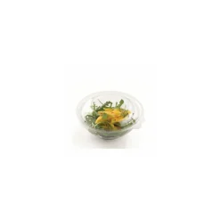 Saladier cristal 2,25 L ø 26 cm - par 50