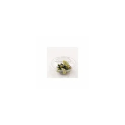 Saladier plastique transparent 14 cm - par 50
