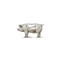 Sang de porc déshydraté - par 20 kg