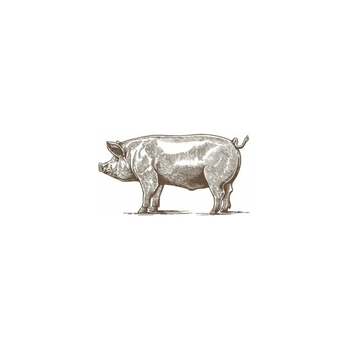 Sang de porc déshydraté - par 20 kg