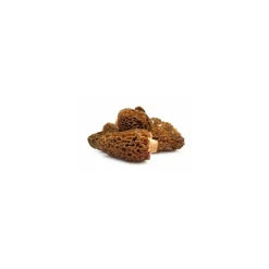 Sauce aux morilles - par 1 kg