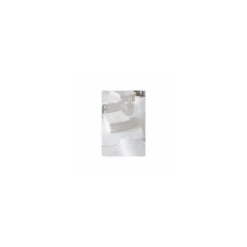 Serviette ouate blanche 30 x 30 cm 2 feuilles - par 200